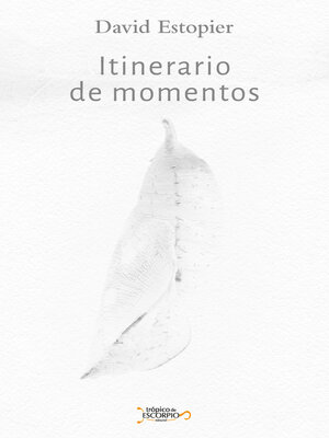cover image of Itinerario de momentos